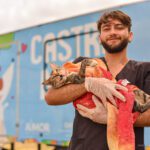 Controle de zoonoses: Prefeitura lança edital de credenciamento para clínicas e médicos veterinários