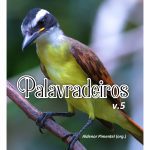 Livro roraimense com poemas finalistas de concurso literário é disponibilizado gratuitamente na internet