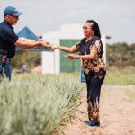 Dia de Campo em Hortifrúti reúne cerca de 800 participantes no Centro de Difusão Tecnológica