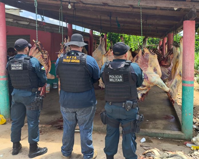 Flagrante de abate clandestino em Bonfim_Ascom Aderr (1)