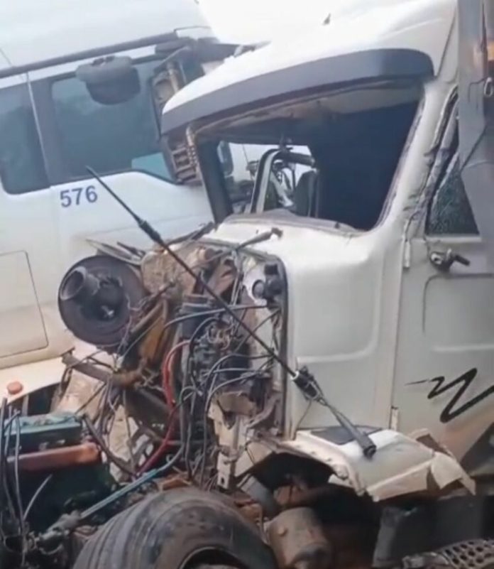 WhatsApp-Image-2025-03-12-at-11.25.28-747x860