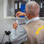 Boa Vista segue sem registrar nenhum caso de malária contraída dentro da capital em 2025