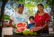 Pequenos produtores concentram quase 60% do crédito na Amazônia agricultura familiar