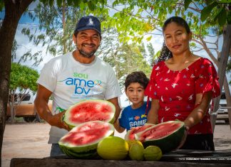 Pequenos produtores concentram quase 60% do crédito na Amazônia agricultura familiar