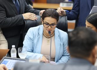 ALE-RR promulga lei de Joilma Teodora sobre campanhas de proteção animal no transporte público