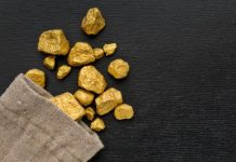 Operação da PF bloqueia R$ 14 milhões em bens de financiadores do garimpo em Roraima