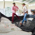 Prefeitura de Boa Vista libera 400 toneladas de insumos para produtores da agricultura familiar