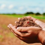 Prefeitura já investiu R$ 53 milhões na agricultura familiar em Boa Vista