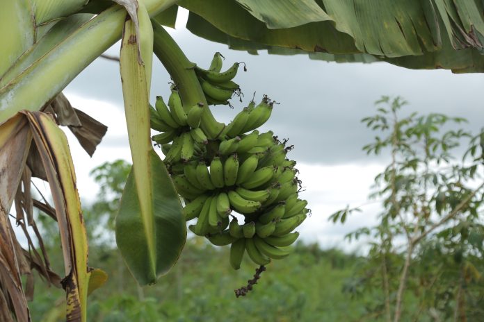 WhatsApp Image 2025-05-13 at 18.23.48