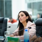 Câmara aprova requerimento para realização de audiência pública sobre turismo em Boa Vista