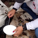 Infestação do Aedes coloca Roraima em risco elevado de dengue, aponta CGVS