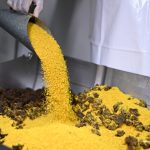 Maior paçoca do mundo começa a ser preparada para o Boa Vista Junina 2025