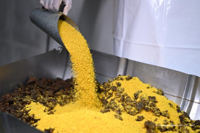 Preparação da Maior Paçoca do Mundo - Ft ANDREZZA MARIOT1