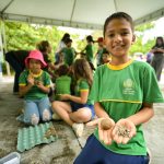 Coleta seletiva, compostagem e ecopontos: investimentos que transformam o futuro de Boa Vista
