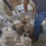 Polícia Civil incinera cerca de 182 quilos de drogas avaliadas em R$ 1,4 milhão