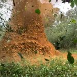 Forças Armadas destroem pista de garimpo ilegal em terra Yanomami