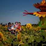 AgroBV abre as portas com programação gratuita e Campo de Girassóis entre os destaques