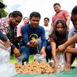 Comunidades indígenas criam rede de sementes para reflorestar áreas degradadas em Roraima