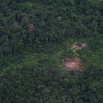 Contratos do governo Lula na Terra Yanomami são alvo de investigação do TCU