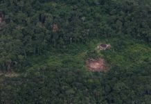 Contratos do governo Lula na Terra Yanomami são alvo de investigação do TCU