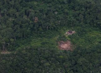 Contratos do governo Lula na Terra Yanomami são alvo de investigação do TCU