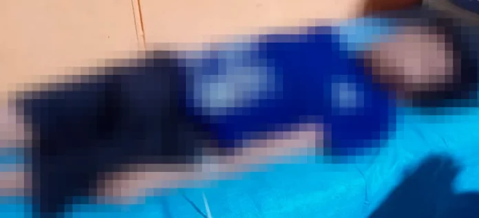 whatsapp-image-2025-07-14-at-173529-1600x728-1