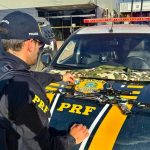 PRF apreende rifle calibre 22 e 84 munições na BR-174, em Boa Vista