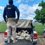 PRF apreende cassiterita e arma de fogo durante fim de semana em Boa Vista