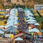 AgroBV 2025 bate recorde com 75 mil visitantes e impulsiona negócios e inovação em Boa Vista