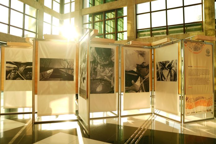 Exposição Festival dos Povos da Floresta (2)