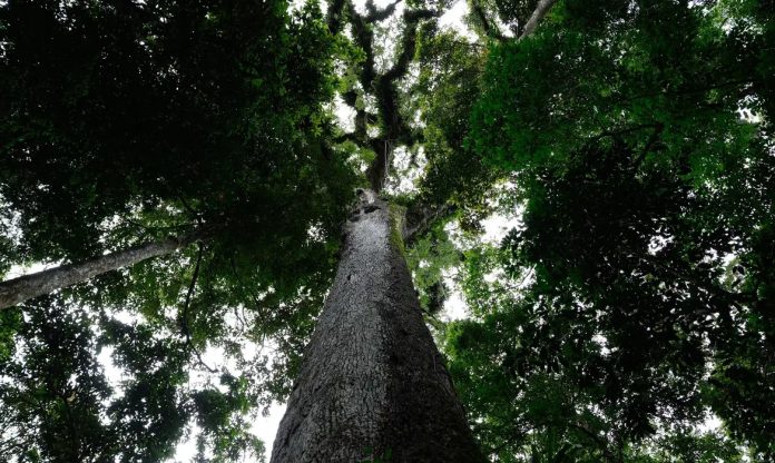 Imagem do WhatsApp de 2025-08-09 à(s) 13.29.35_ed65b51d