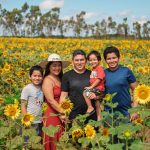 Estrela da AgroBV, campo de girassóis é cenário para lindas fotos em Roraima