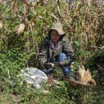 ALERR destaca leis que fortalecem a agricultura familiar durante semana dedicada ao setor