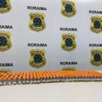 Passageira é presa no aeroporto de Boa Vista com 351 ampolas de Mounjaro trazidas do Paraguai