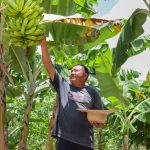 Comunidades indígenas de Boa Vista fortalecem produção de alimentos com apoio da prefeitura