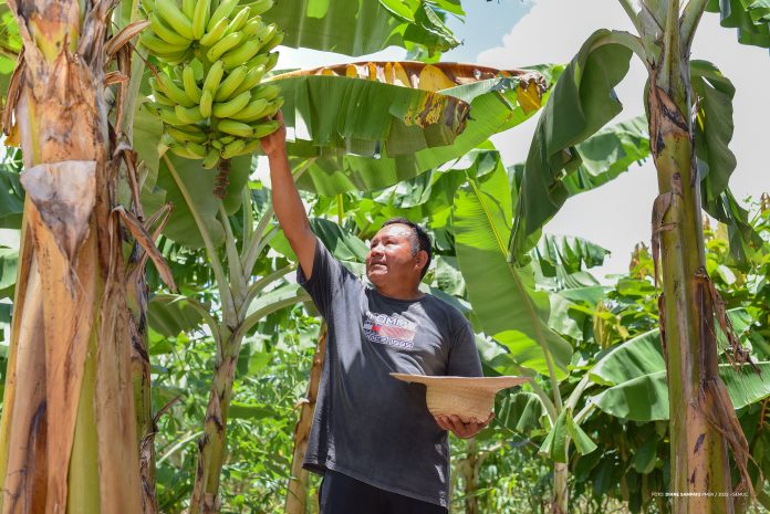 54763863466_26e014d200_k