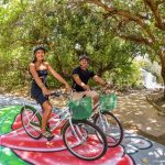 Bosque dos Papagaios passa a oferecer bicicletas gratuitas para visitantes