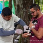 Campanha de Vacinação Antirrábica em Boa Vista encerra neste sábado