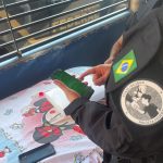 PF prende integrante de grupo internacional de abuso sexual infantil em Roraima