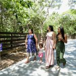 Bosque dos Papagaios reabre ao público após reforma