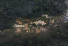 MPF pede multas de pelo menos R$ 72,9 milhões a empresas ligadas ao garimpo na Terra Yanomami garimpo yanomami