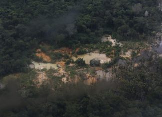 MPF pede multas de pelo menos R$ 72,9 milhões a empresas ligadas ao garimpo na Terra Yanomami garimpo yanomami