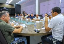 Sampaio quer propor audiência pública para debater ‘desburocratização’ da Guiana