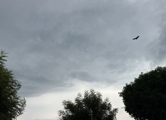 Semana em Boa Vista terá sol entre nuvens e chance de chuva leve a partir de quinta-feira (20)