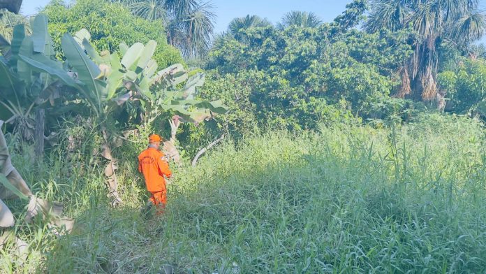 Imagem do WhatsApp de 2025-10-17 à(s) 15.59.43_09e847a1