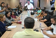 Comissão de Saúde da ALERR debate critérios de avaliação e progressões funcionais de servidores