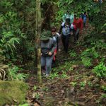 Roraima sedia encontro nacional sobre turismo regenerativo e sustentabilidade na Amazônia