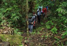 União formaliza destinação de área de R$ 522 milhões para o Parque Nacional do Viruá, em Roraima