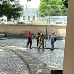Onça-parda é vista no Centro de Boa Vista e mobiliza Corpo de Bombeiros em buscas onça
