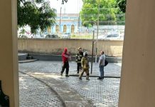 Onça-parda é vista no Centro de Boa Vista e mobiliza Corpo de Bombeiros em buscas onça